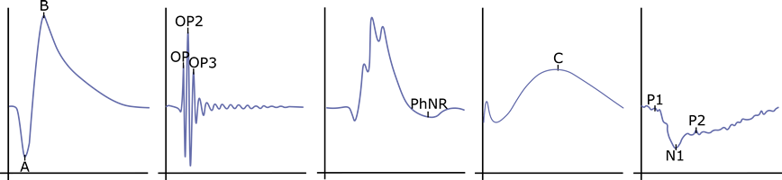 viz path