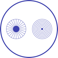 pupillometry