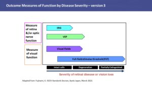 Comparison of ERG VEP VF and FST as related to severity of retinal disease or degeneration