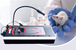 Five essential features of modern preclinical visual electrophysiology test equipment
