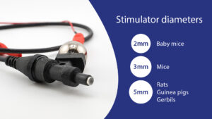 Revealing biomarkers within small visual electrophysiology signals to advance neuroscience