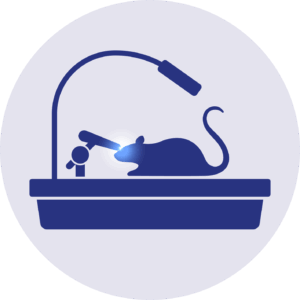 Preclinical visual electrophysiology icon