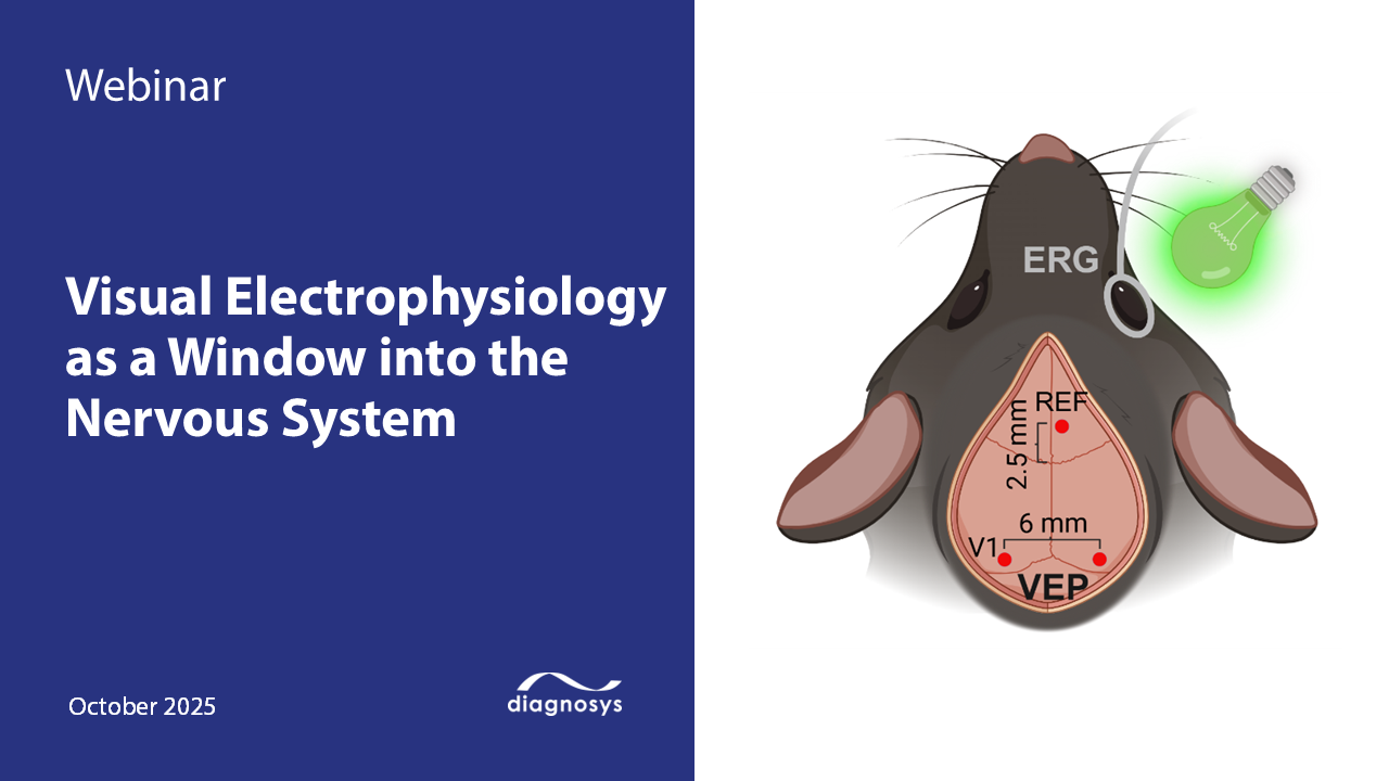Visual Electrophysiology as a Window into the Nervous System