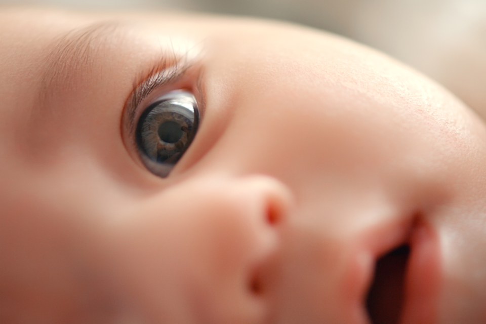 Baby, face and closeup of newborn, eye and vision with health, development and growth in early childhood. Eyesight, pupil and iris with curious infant, healthy kid and growing with child care